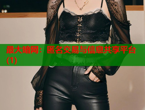 最大暗网：匿名交易与信息共享平台(1)