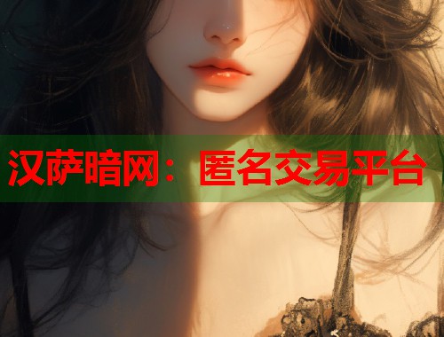 汉萨暗网：匿名交易平台