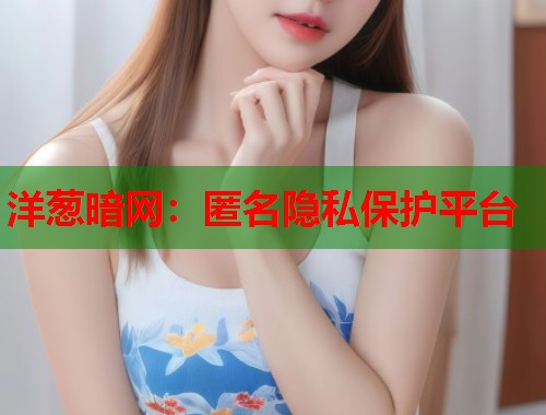 洋葱暗网：匿名隐私保护平台  第2张