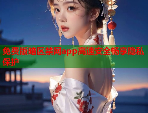 免费版暗区禁网app高速安全畅享隐私保护  第2张