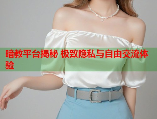 暗教平台揭秘 极致隐私与自由交流体验