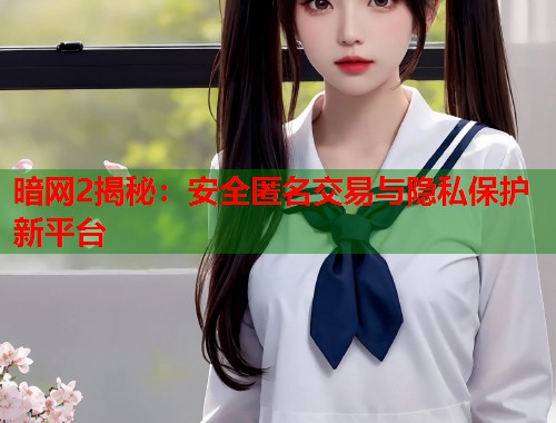 暗网2揭秘：安全匿名交易与隐私保护新平台