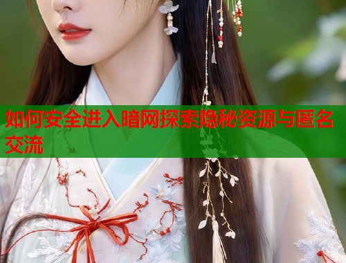 如何安全进入暗网探索隐秘资源与匿名交流  第1张