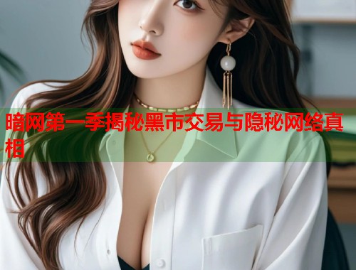 暗网第一季揭秘黑市交易与隐秘网络真相