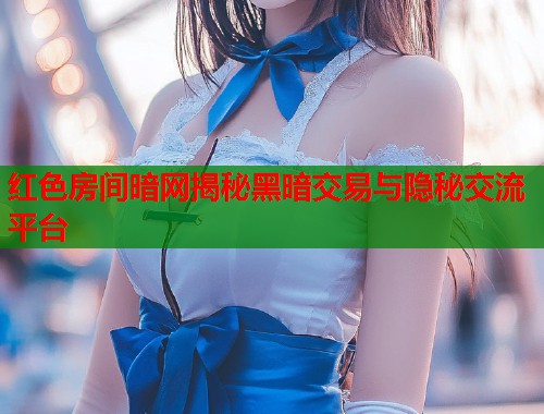 红色房间暗网揭秘黑暗交易与隐秘交流平台