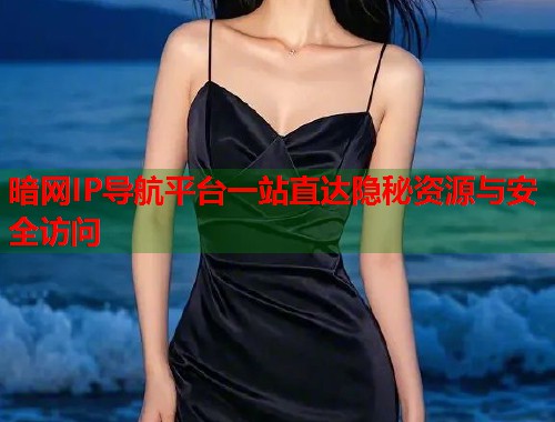 暗网IP导航平台一站直达隐秘资源与安全访问  第2张
