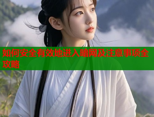 如何安全有效地进入暗网及注意事项全攻略  第1张