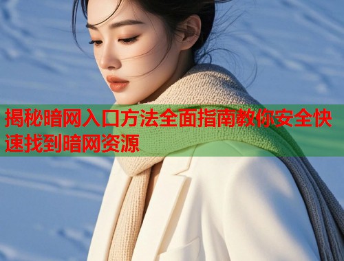揭秘暗网入口方法全面指南教你安全快速找到暗网资源  第2张