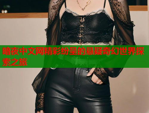 暗夜中文网精彩纷呈的悬疑奇幻世界探索之旅