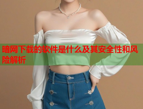 暗网下载的软件是什么及其安全性和风险解析