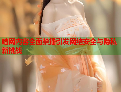 暗网内容全面禁播引发网络安全与隐私新挑战