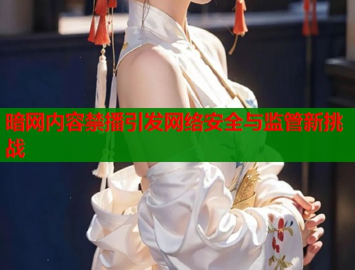 暗网内容禁播引发网络安全与监管新挑战