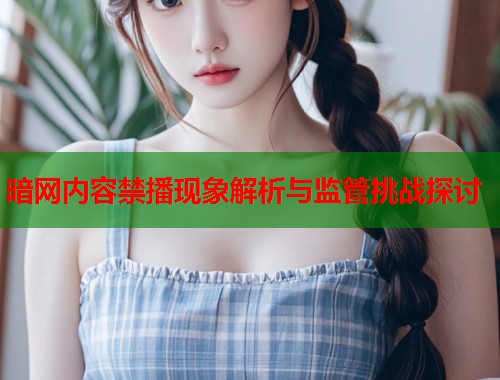 暗网内容禁播现象解析与监管挑战探讨