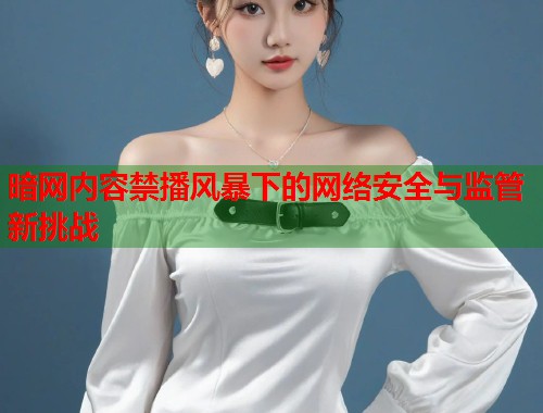 暗网内容禁播风暴下的网络安全与监管新挑战  第2张