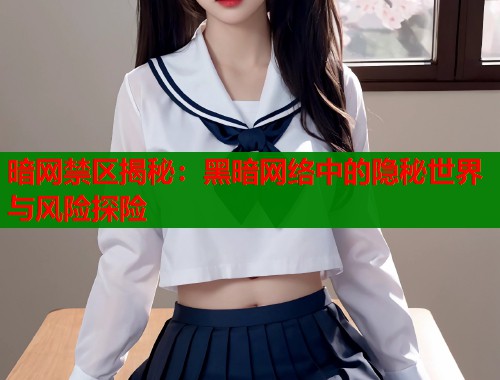 暗网禁区揭秘：黑暗网络中的隐秘世界与风险探险  第2张