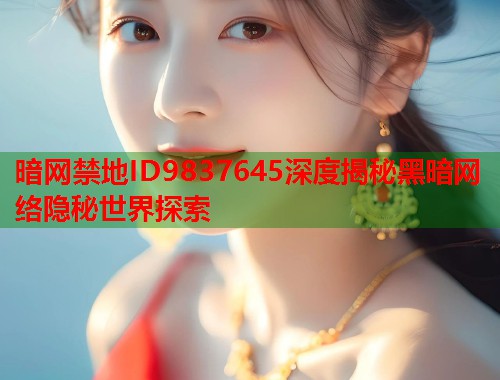 暗网禁地ID9837645深度揭秘黑暗网络隐秘世界探索