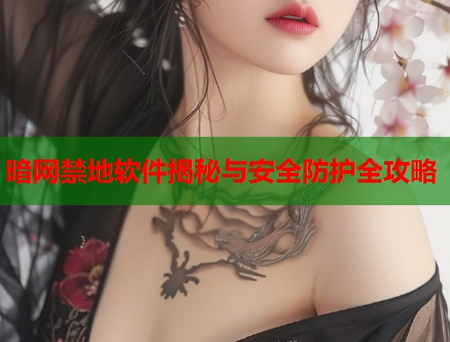 暗网禁地软件揭秘与安全防护全攻略