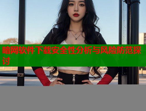 暗网软件下载安全性分析与风险防范探讨