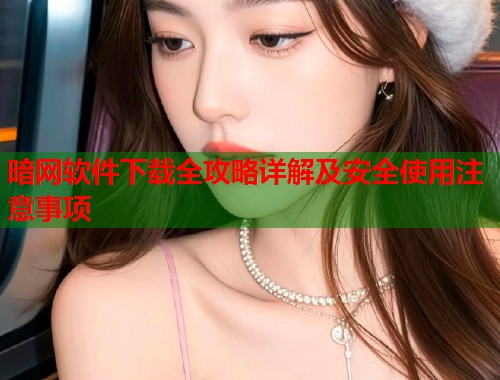 暗网软件下载全攻略详解及安全使用注意事项