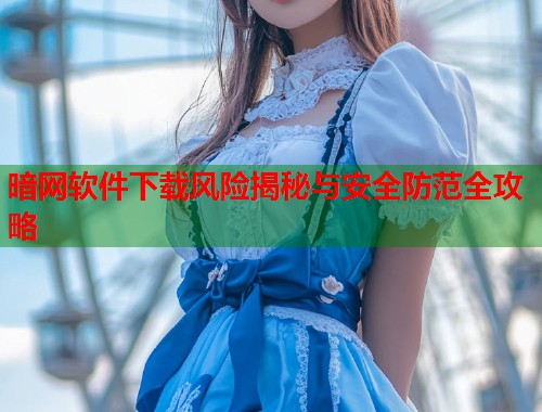 暗网软件下载风险揭秘与安全防范全攻略