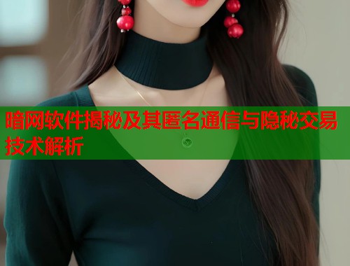 暗网软件揭秘及其匿名通信与隐秘交易技术解析