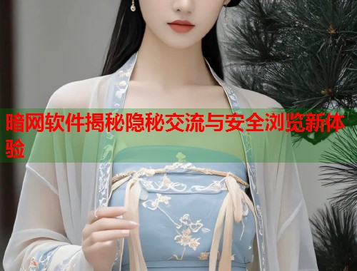 暗网软件揭秘隐秘交流与安全浏览新体验