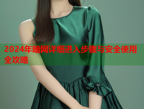 2024年暗网详细进入步骤与安全使用全攻略
