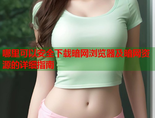 哪里可以安全下载暗网浏览器及暗网资源的详细指南