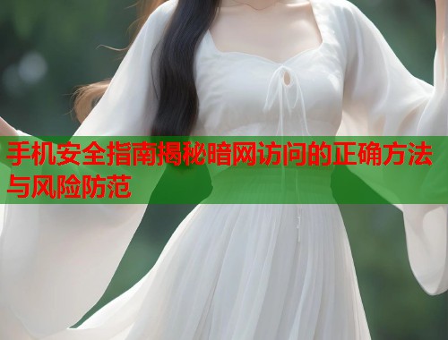 手机安全指南揭秘暗网访问的正确方法与风险防范