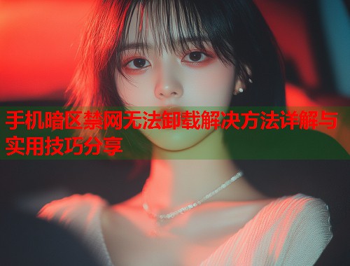 手机暗区禁网无法卸载解决方法详解与实用技巧分享  第2张