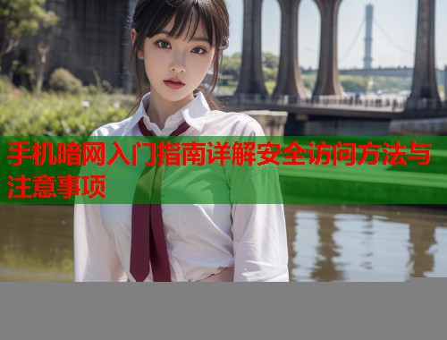 手机暗网入门指南详解安全访问方法与注意事项
