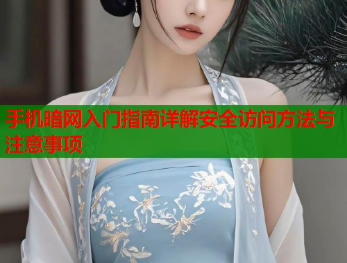 手机暗网入门指南详解安全访问方法与注意事项  第2张
