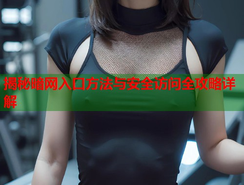 揭秘暗网入口方法与安全访问全攻略详解