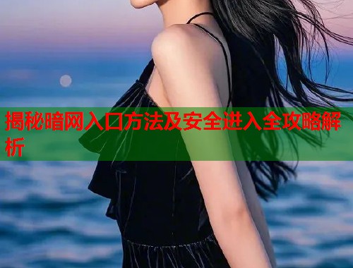 揭秘暗网入口方法及安全进入全攻略解析