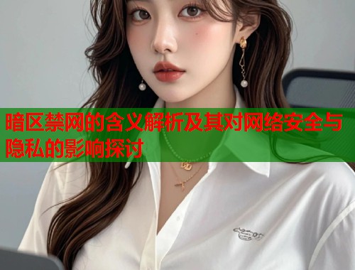 暗区禁网的含义解析及其对网络安全与隐私的影响探讨