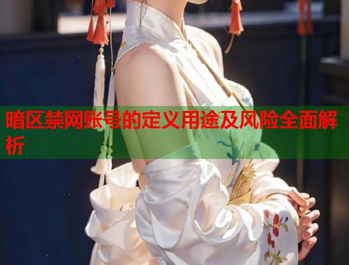 暗区禁网账号的定义用途及风险全面解析