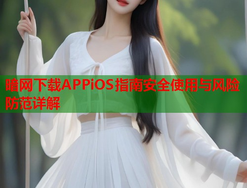 暗网下载APPiOS指南安全使用与风险防范详解