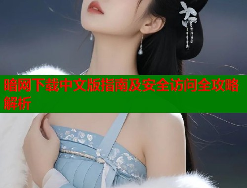暗网下载中文版指南及安全访问全攻略解析