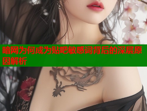 暗网为何成为贴吧敏感词背后的深层原因解析