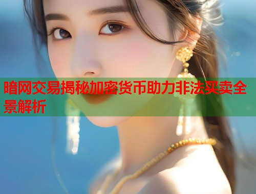 暗网交易揭秘加密货币助力非法买卖全景解析  第2张