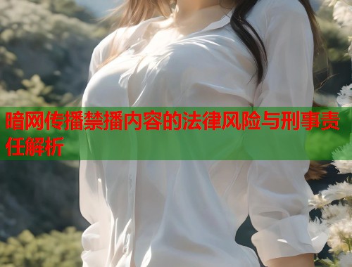 暗网传播禁播内容的法律风险与刑事责任解析