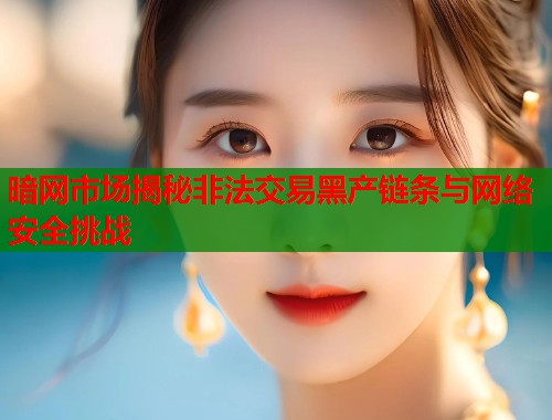暗网市场揭秘非法交易黑产链条与网络安全挑战