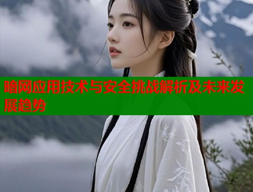 暗网应用技术与安全挑战解析及未来发展趋势