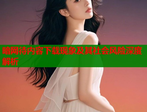 暗网待内容下载现象及其社会风险深度解析