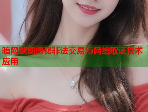 暗网截图揭秘非法交易与网络取证技术应用