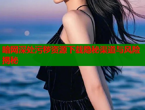 暗网深处污秽资源下载隐秘渠道与风险揭秘  第2张