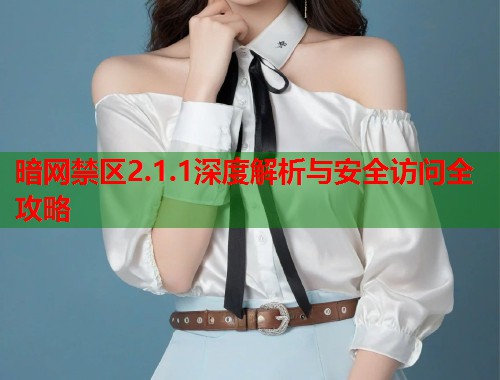 暗网禁区2.1.1深度解析与安全访问全攻略  第1张