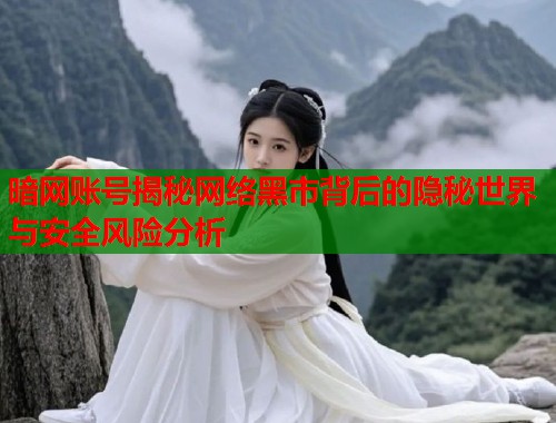 暗网账号揭秘网络黑市背后的隐秘世界与安全风险分析  第2张