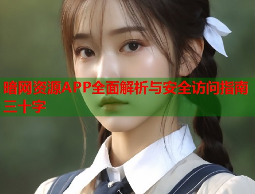 暗网资源APP全面解析与安全访问指南三十字