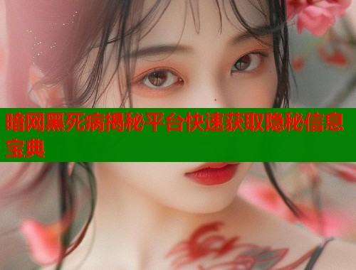 暗网黑死病揭秘平台快速获取隐秘信息宝典